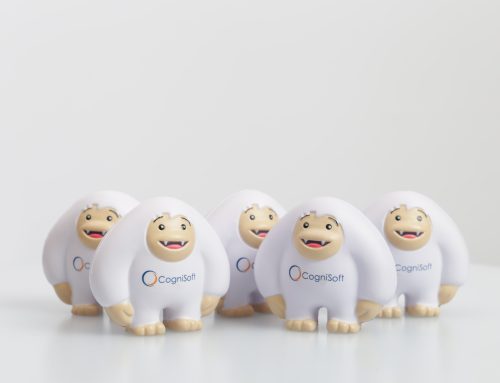 CogniSoft Stress Balls Case Study