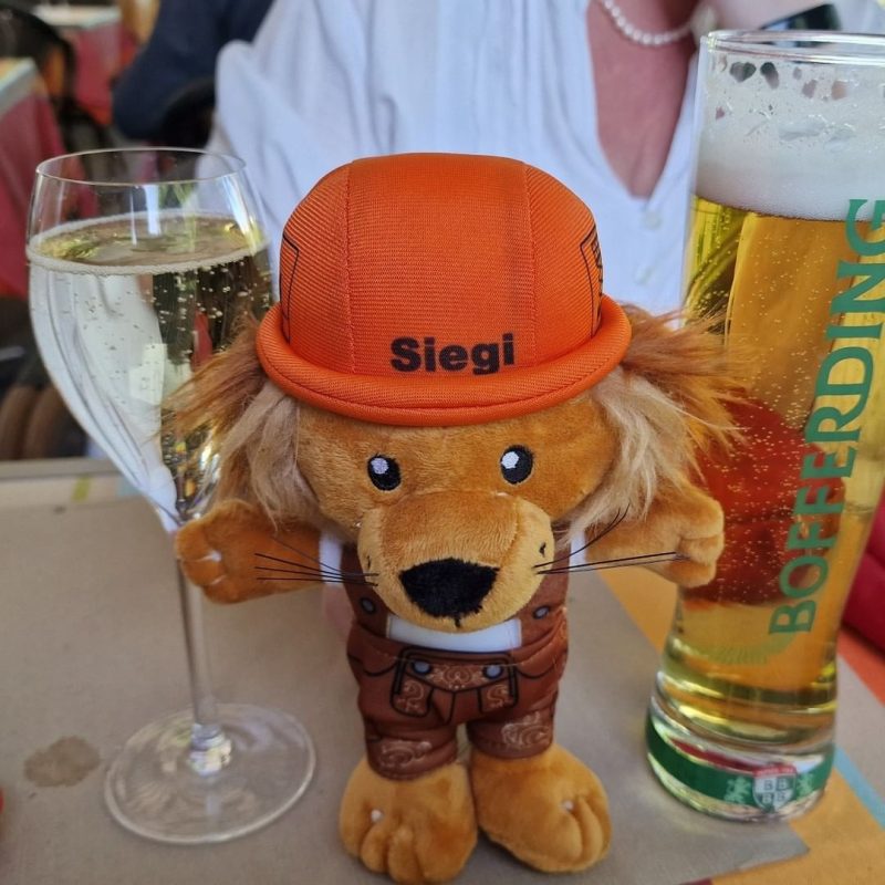 Snapinsta.app_358791399_1952816745074262_5259873116738744997_n_1024 - Promo Bears USA Siegl Plush Toy By Promo Bears