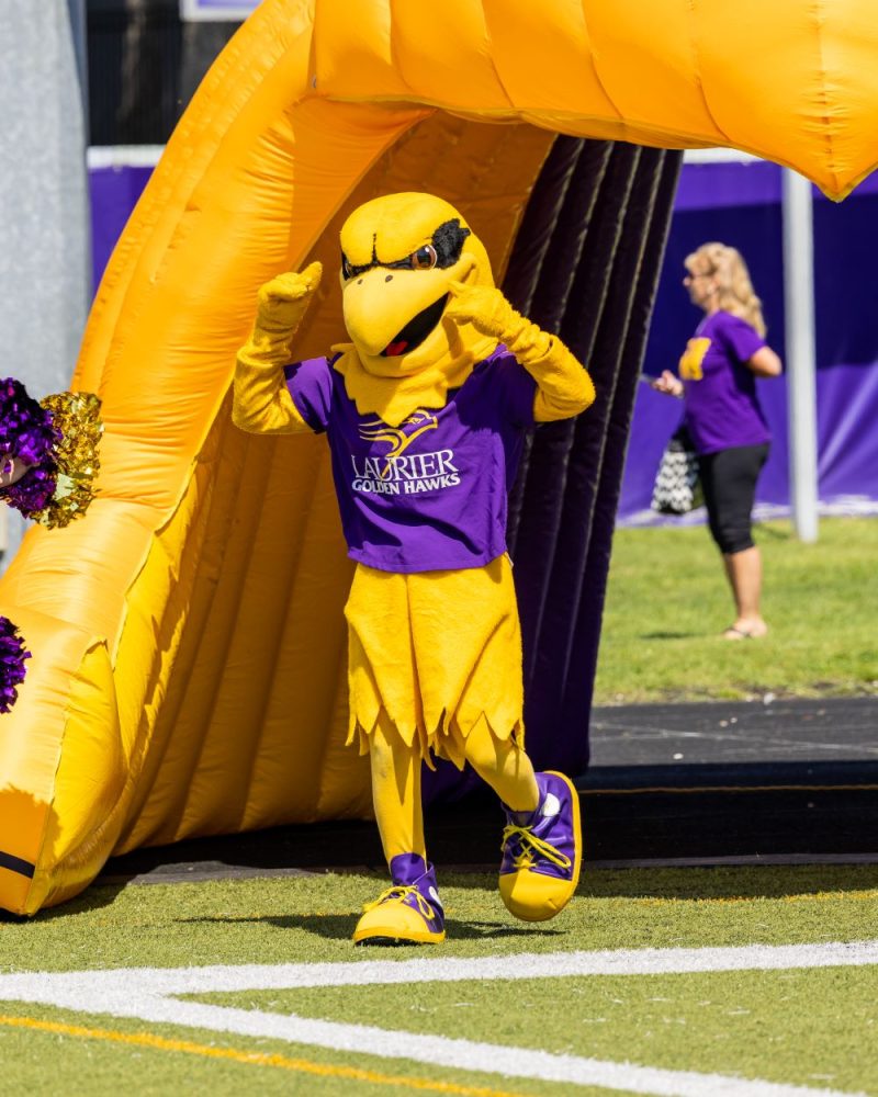 Golden Hawk mascot running through football tunnel made by Promo Bears
