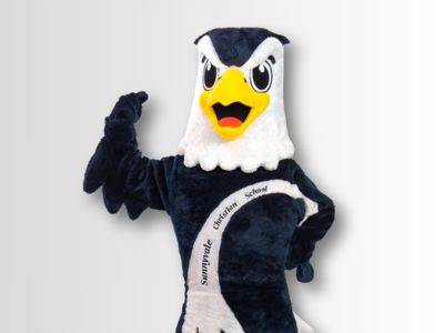 Eagle School - Promo Bears USA Eagle Mascot