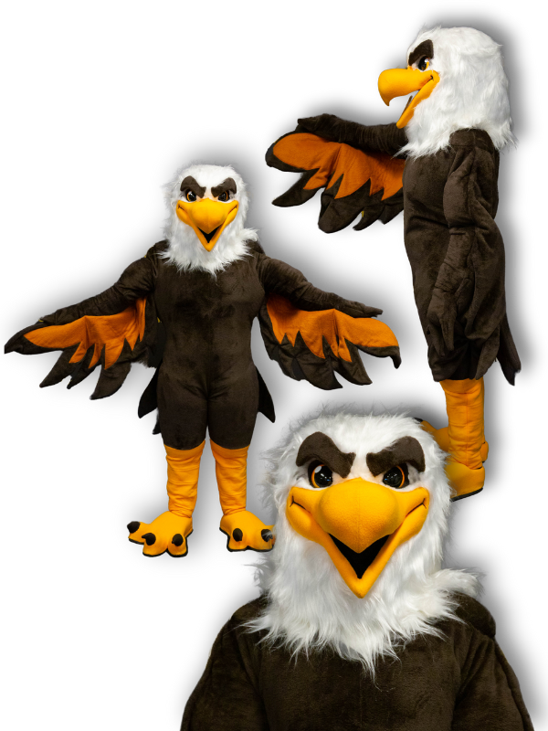 Eagle Stock - Promo Bears USA Stock Eagle Mascot