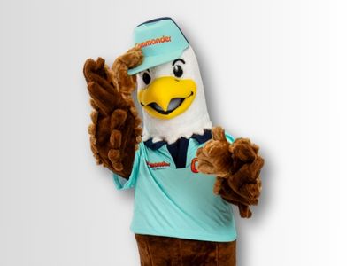 Eagle with Hat 2 - Promo Bears USA Eagle Mascot With Cap
