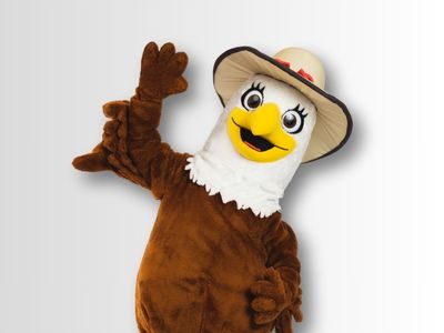 Eagle with Hat - Promo Bears USA Eagle Mascot With Hat