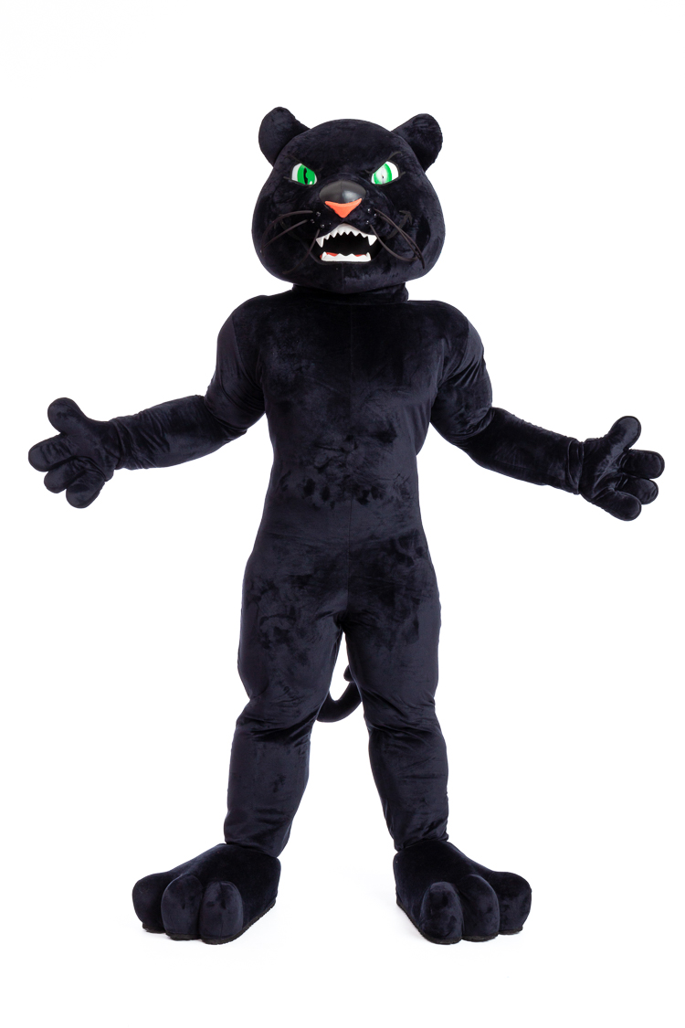 ACC22930 John J Doyle Panther_Front - Promo Bears USA