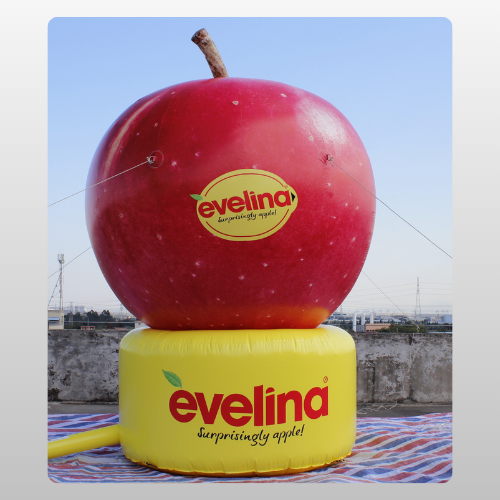 Inflatable Product Replica
