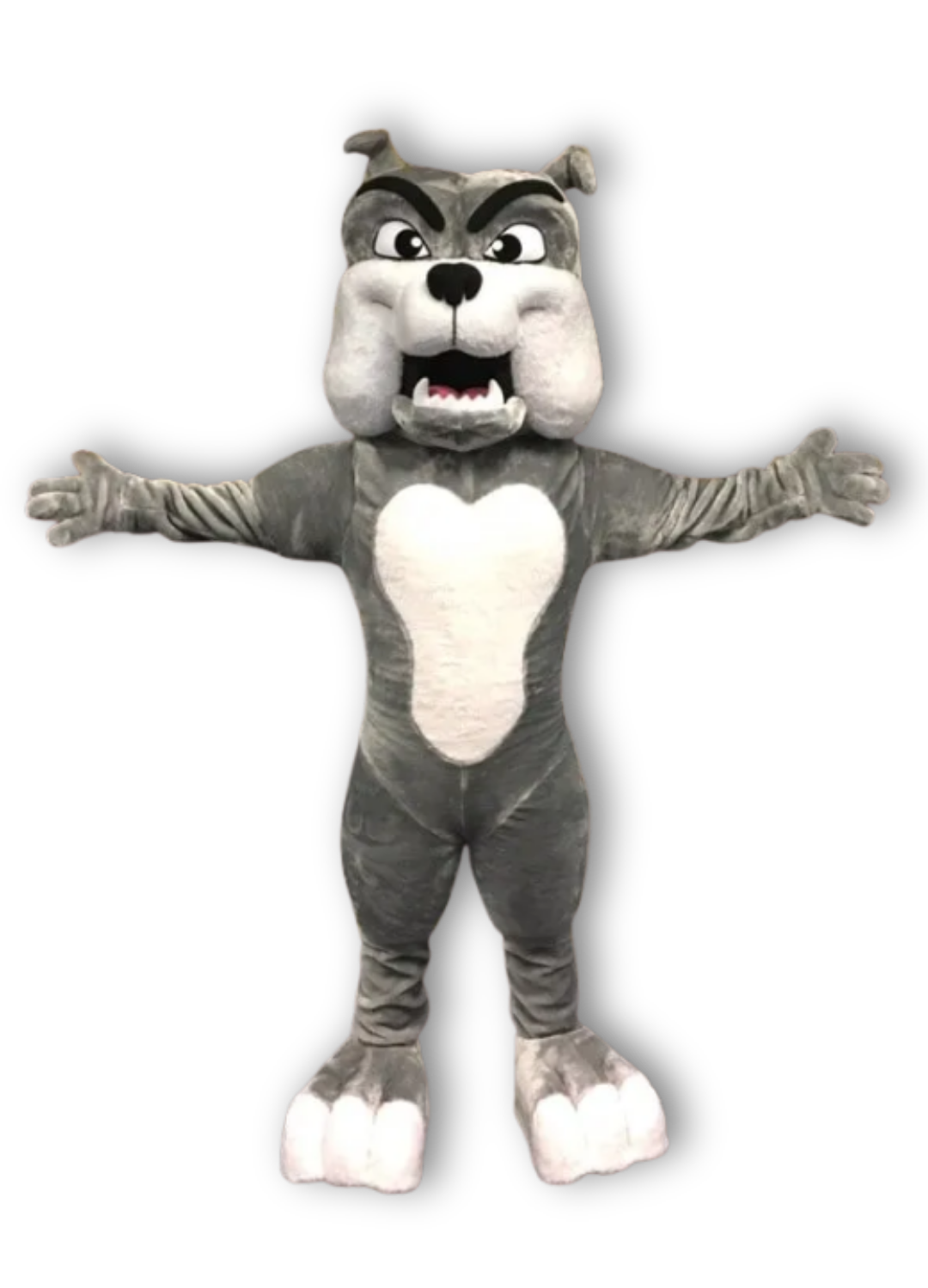 bulldog mascot